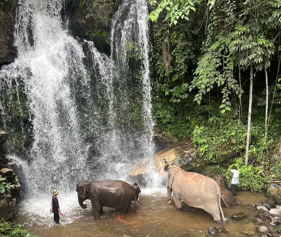 Two elephants bathing in the plunge pool beneath the waterfall, mahouts standing back on the bank